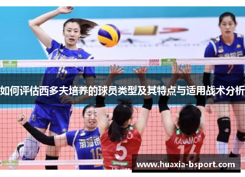 如何评估西多夫培养的球员类型及其特点与适用战术分析